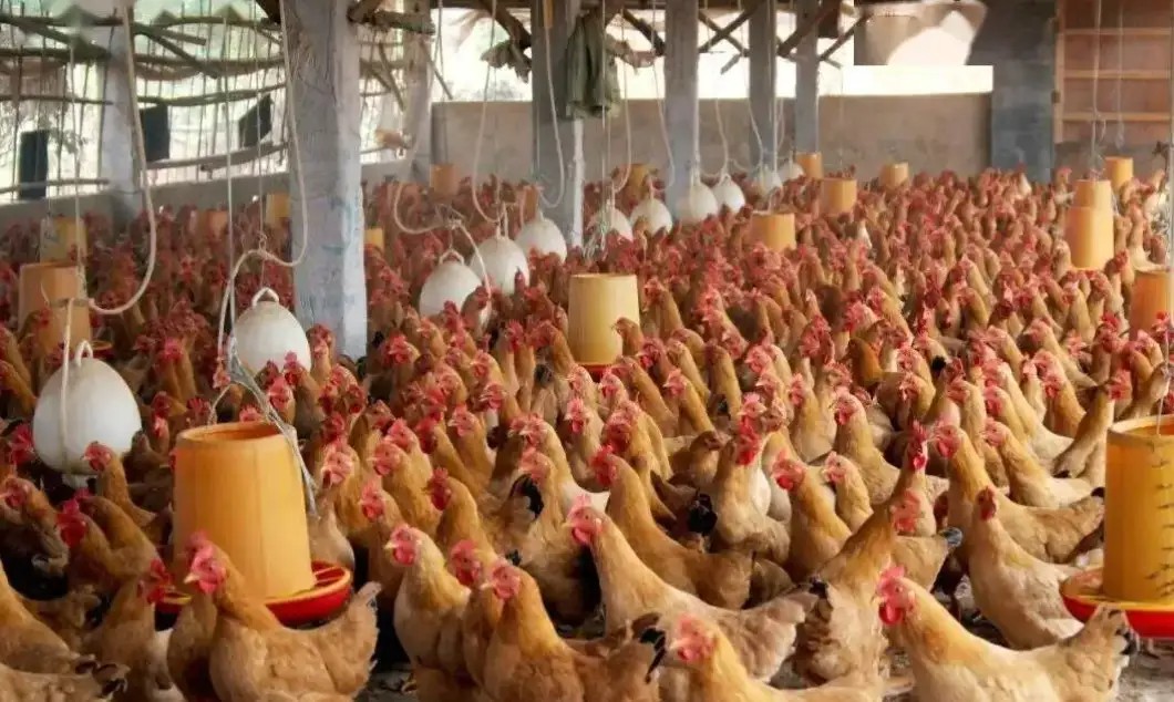 他自认赌博可控，但现实不是你想